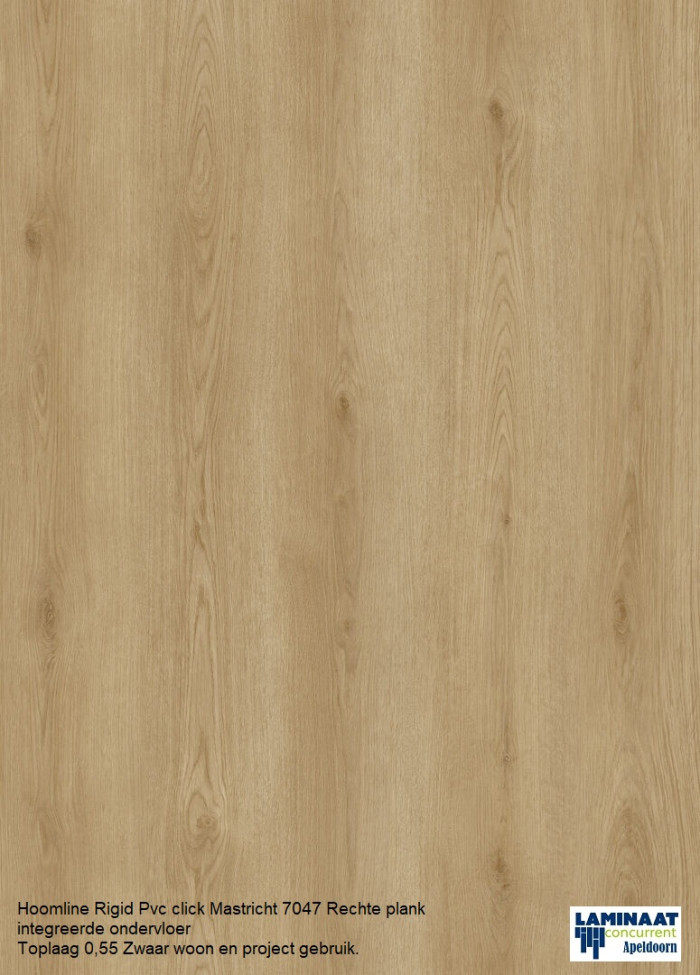 Hoomline Rigid Pvc click Mastricht 7047